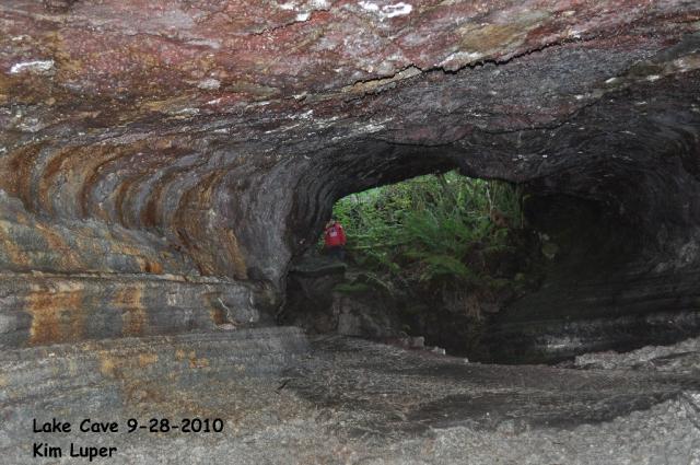 MSH bats059 Lake cave