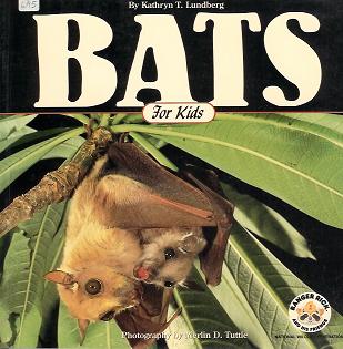 Bats for Kids 6 95