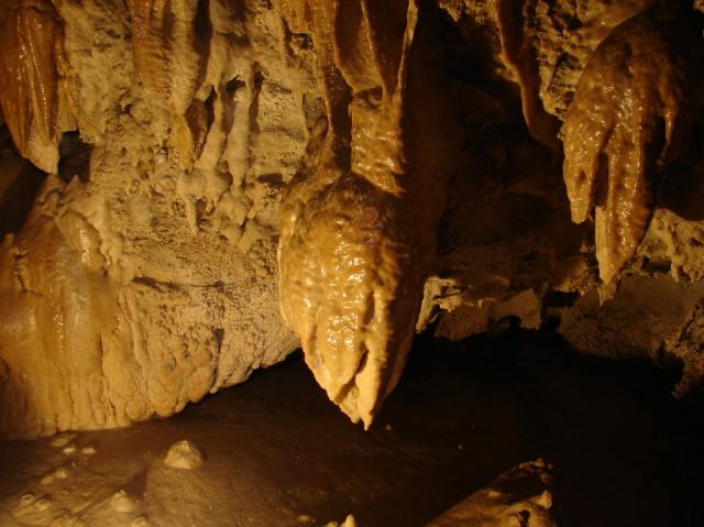 Oregon Caves 323 Large e-mail view