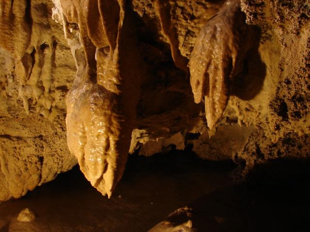 Oregon Caves 324 Large e-mail view