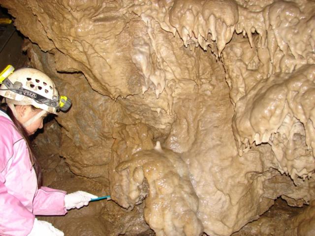 Oregon Caves amp beach 2007 035 Standard e-mail view