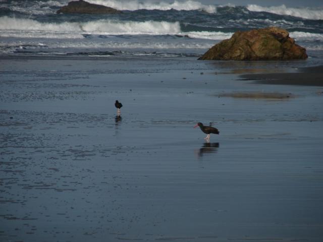 Oregon Caves amp beach 2007 089 Standard e-mail view