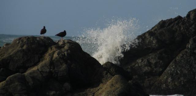 Oregon Caves amp beach 2007 099 Standard e-mail view