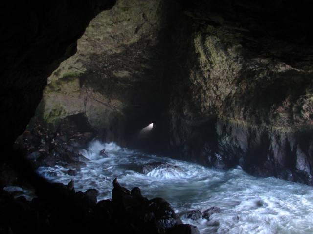 Oregon Caves amp beach 2007 112 Standard e-mail view