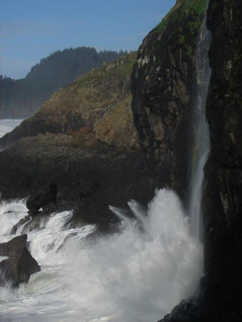 Oregon Caves amp beach 2007 133 Standard e-mail view