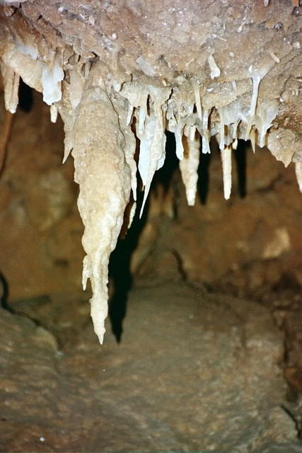 Shasta Caverns 06