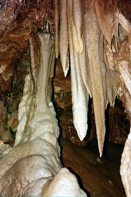 Shasta Caverns 11