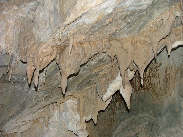 Mercer Caverns2