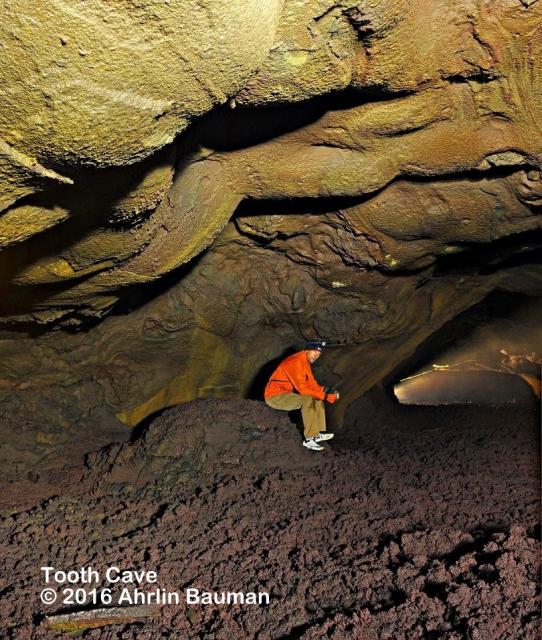 Tooth Cave 8332