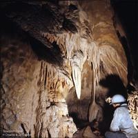 Scorpion Cave