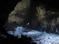 Oregon Caves amp beach 2007 112 Standard e-mail view