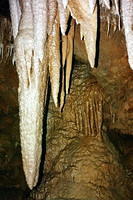 Shasta Caverns 07