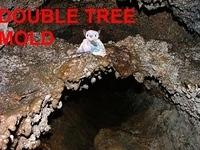 DOUBLE TREE MOLD