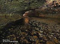 Pond Cave