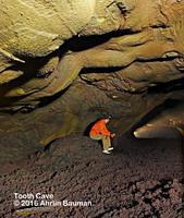 Tooth Cave 8332